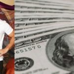 Johnny Sins Vermögen